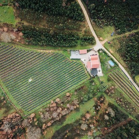 Quinta Vale Salgueiro Lägenhet Seia Exteriör bild