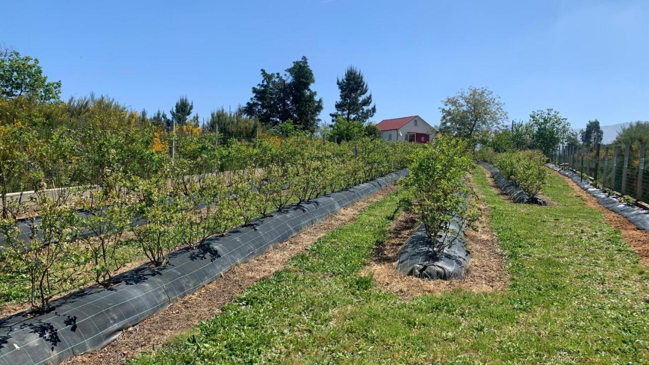 Quinta Vale Salgueiro Lägenhet Seia Exteriör bild