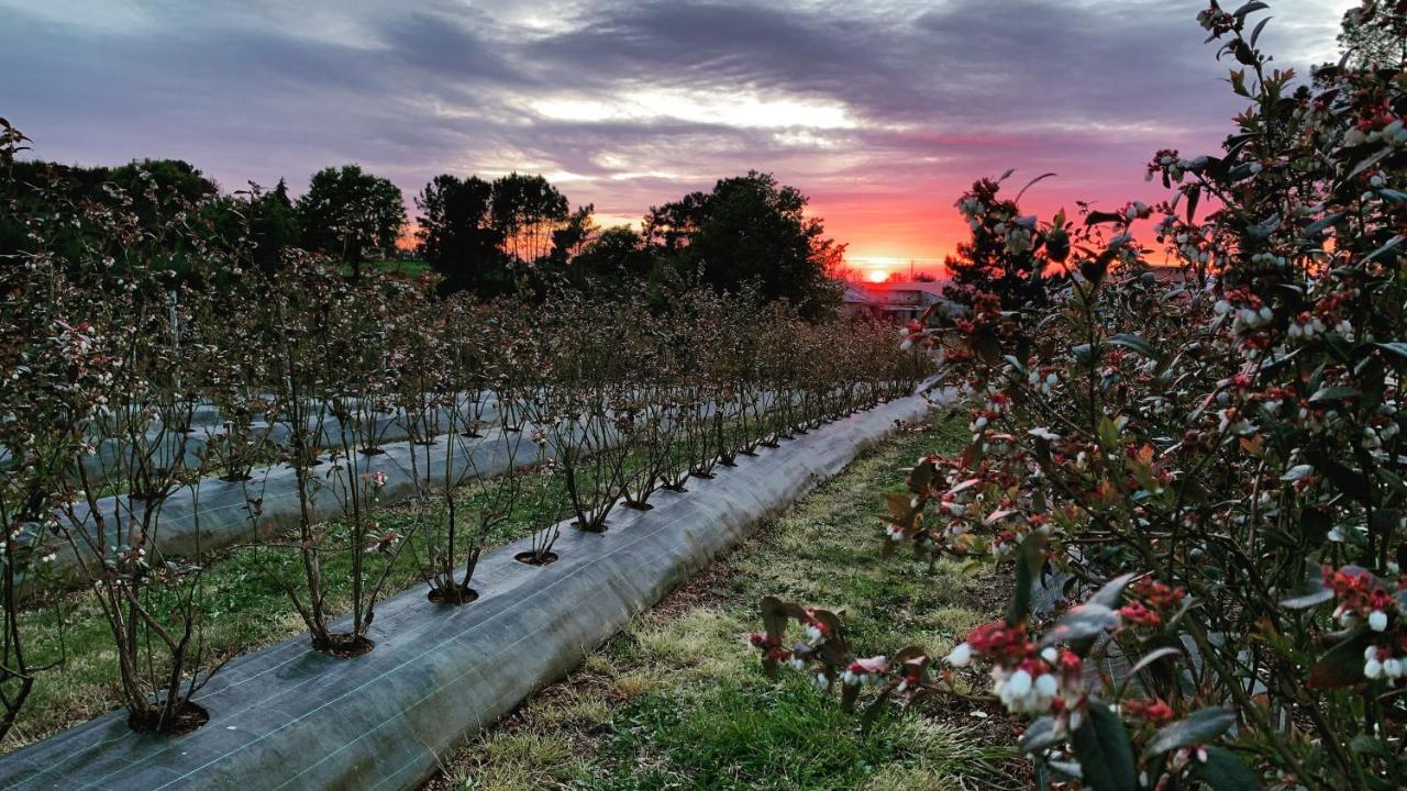 Quinta Vale Salgueiro Lägenhet Seia Exteriör bild