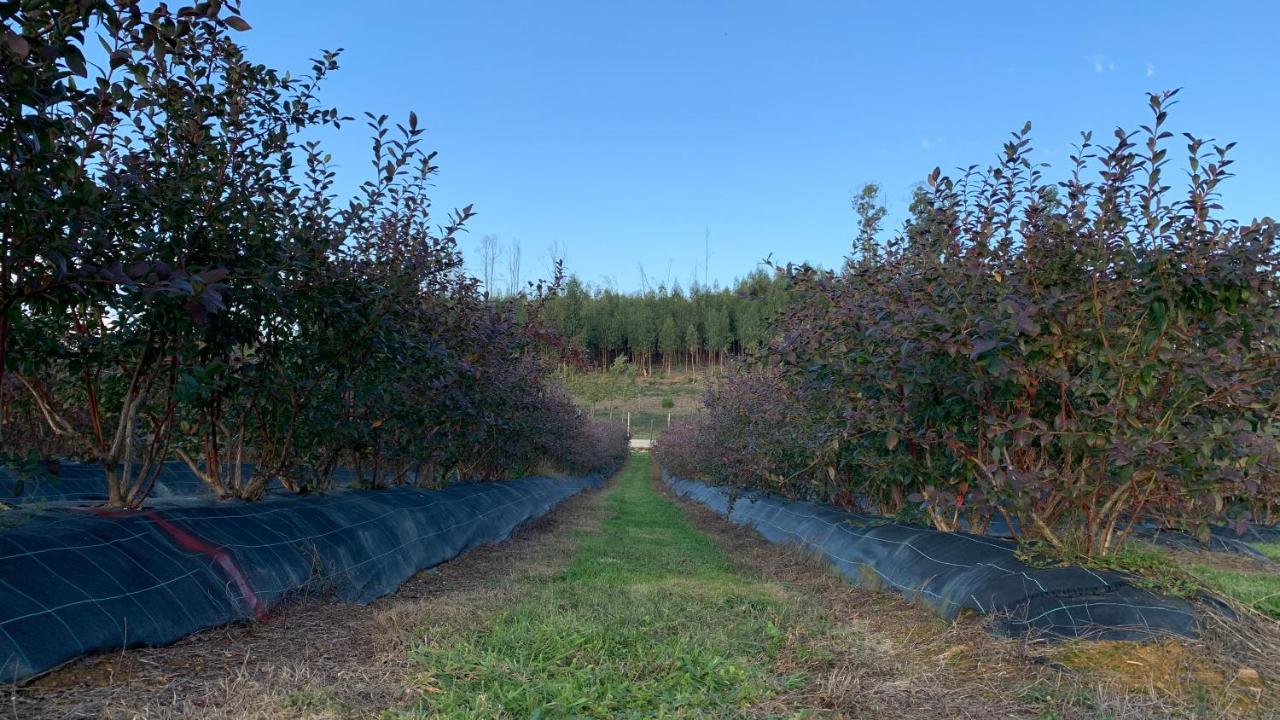 Quinta Vale Salgueiro Lägenhet Seia Exteriör bild