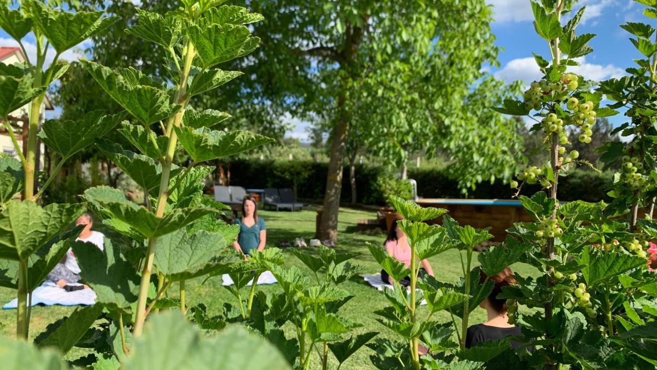 Quinta Vale Salgueiro Lägenhet Seia Exteriör bild