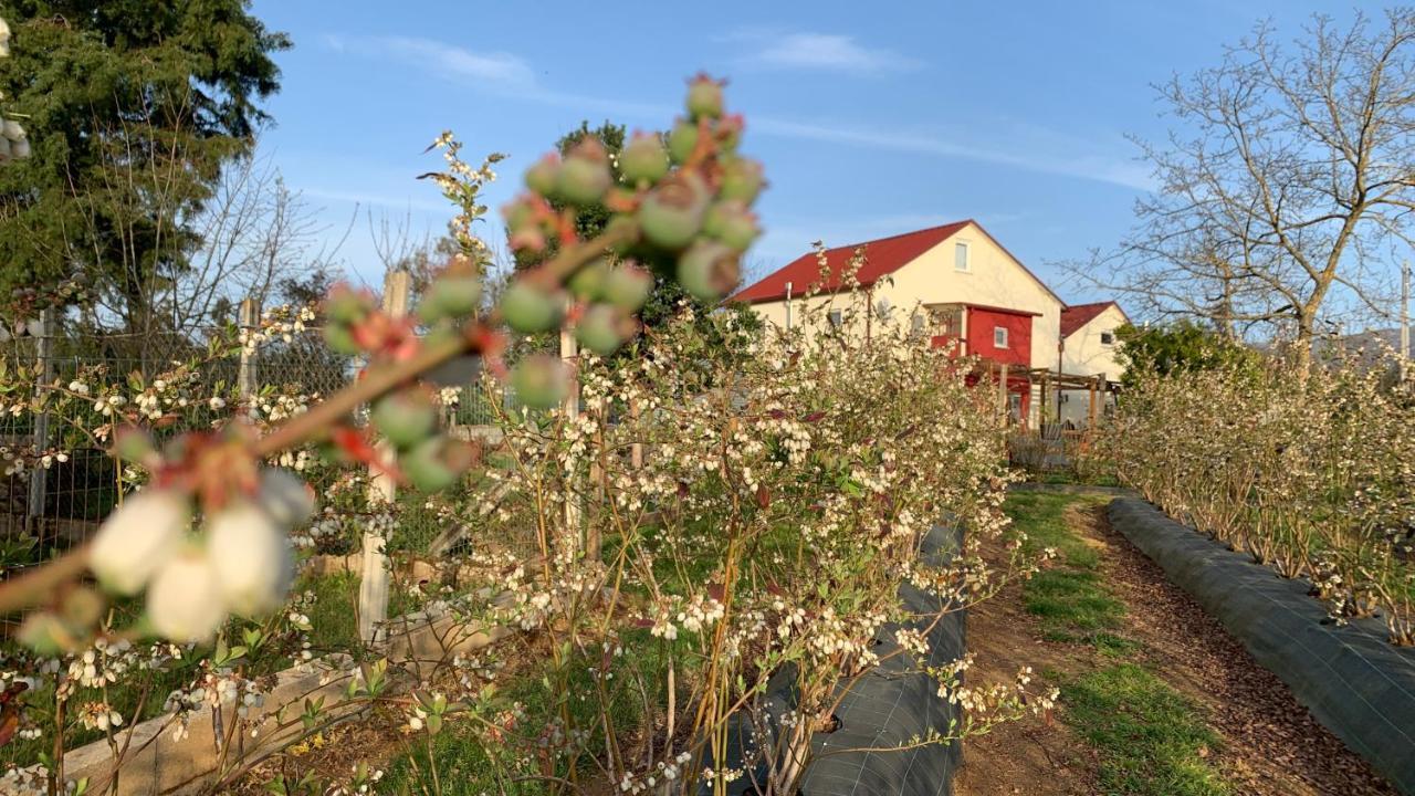 Quinta Vale Salgueiro Lägenhet Seia Exteriör bild