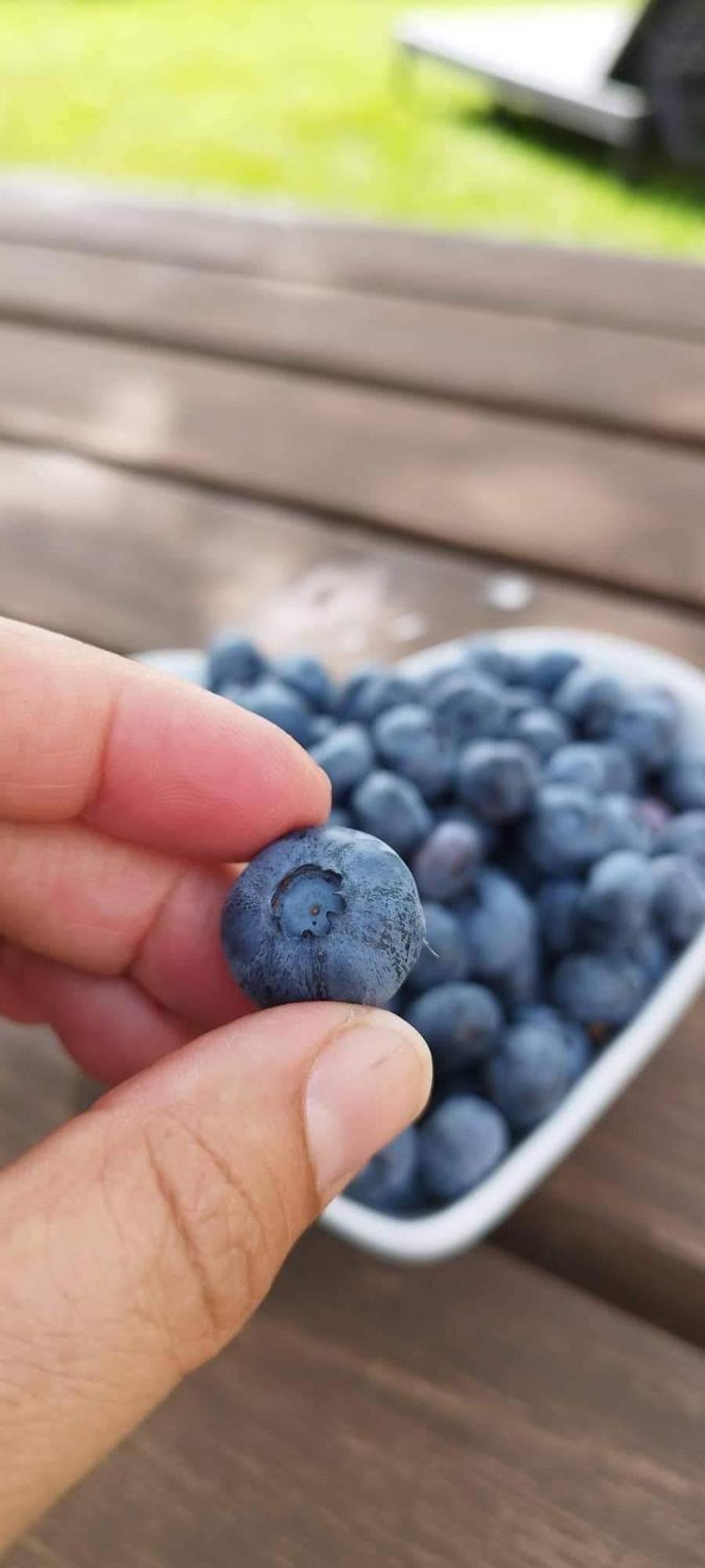 Quinta Vale Salgueiro Lägenhet Seia Exteriör bild