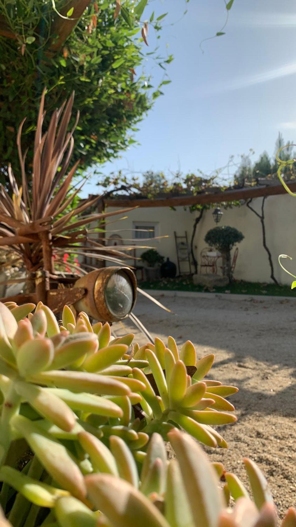 Quinta Vale Salgueiro Lägenhet Seia Exteriör bild